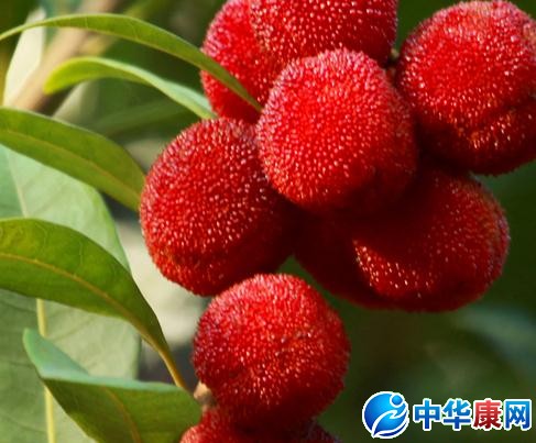 【杨梅的功效】杨梅的食疗功效_吃杨梅有什么功效