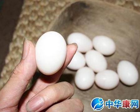 【鸽子蛋营养价值】鸽子蛋的营养价值_吃鸽子
