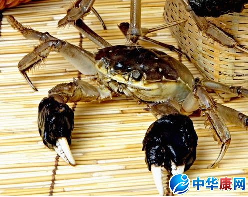 河蟹怎么做