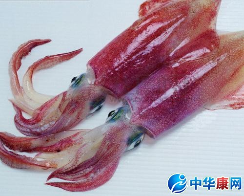 乌贼