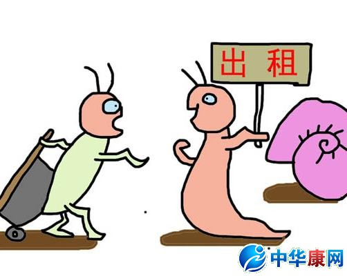 蚁族是什么意思_什么是蚁族_网络常识