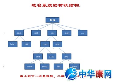 什么是DNS服务器