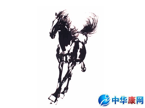 姜子牙完整版在线观看