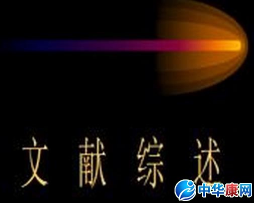 文献综述怎么写_文献综述应该怎么写