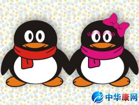 qqip地址怎么改_要怎么改qqip地址_网络常识