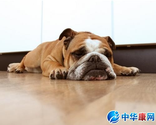 无聊用英语怎么说_用英语应该怎么说无聊