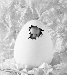 �ҿ�����Ӥ��10������(ͼ)