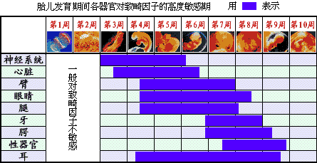 受孕监测：十月怀胎