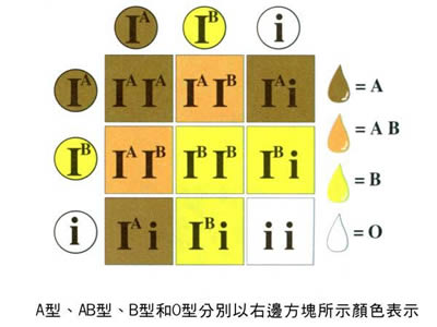 ����Ѫ�͵��Ŵ�����