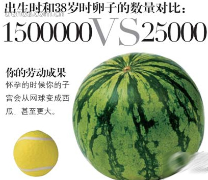 备孕:健康怀孕的4大处方