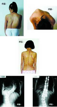 ���Ӽ���������������