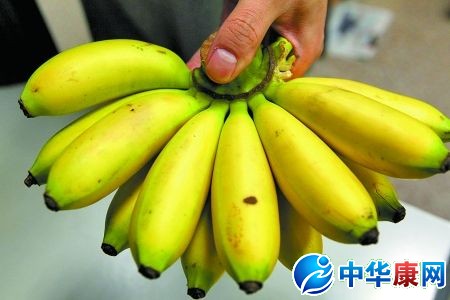 养胃的水果_养胃的水果有哪些_补胃养胃_中华