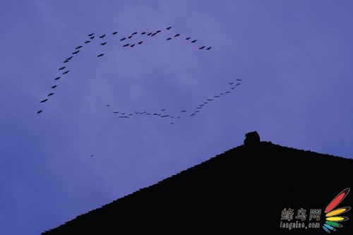 逆光下的风光摄影技巧 逆光下的风光摄影技巧