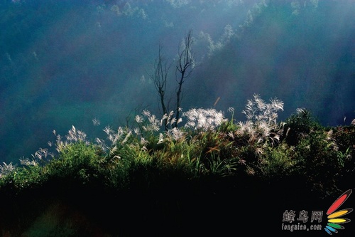 逆光下的风光摄影技巧 逆光下的风光摄影技巧