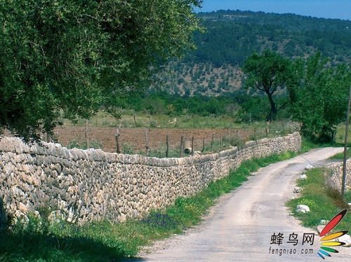 逆光下的风光摄影技巧 逆光下的风光摄影技巧