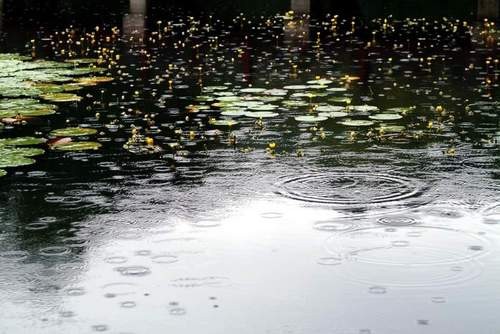 ��ͬ����״������Ӱ����