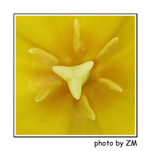 ǳ̸Ӱ