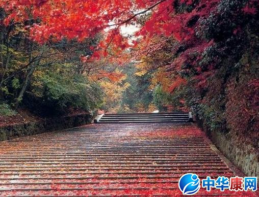 描写秋雨的诗句_描写秋雨的诗句有哪些_腹有