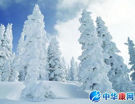关于雪的诗词_关于雪的诗词有哪些_腹有诗书