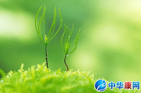 有关生命的名言
