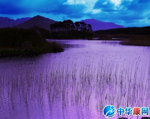 分组符号_最新分组符号大全_星座运程_中华康网