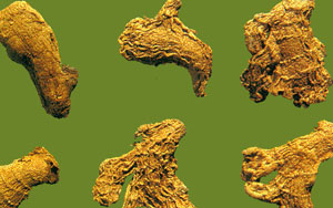 点击图片可在新窗口打开