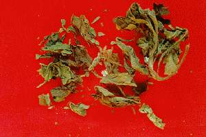 点击图片可在新窗口打开