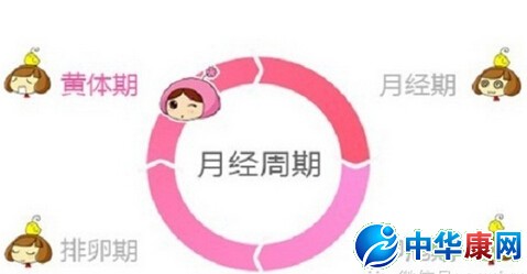 月经周期怎么算